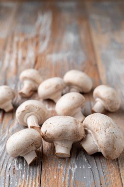 Hafif ahşap masa üzerinde şampiyonlar sürüsü, bir pazar kataloğu için yakın çekim.