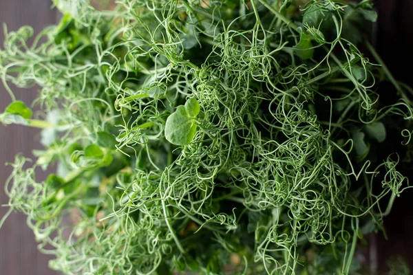 Süper yiyeceklerin çiğ filizlerinin üst görüntüsü