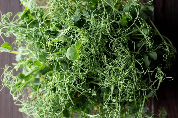 Süper yiyeceklerin çiğ filizlerinin üst görüntüsü