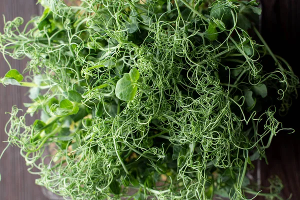 Süper yiyeceklerin çiğ filizlerinin üst görüntüsü