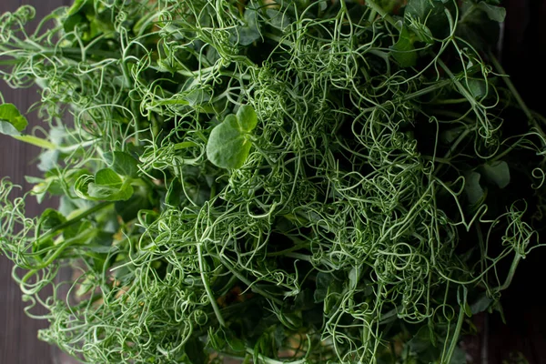Bir kabın içindeki kıvırcık filizler yığını, koyu arkaplanda üst görünüm