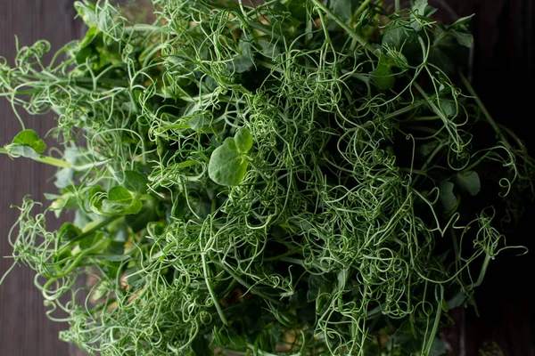 Bir kabın içindeki kıvırcık filizler yığını, koyu arkaplanda üst görünüm