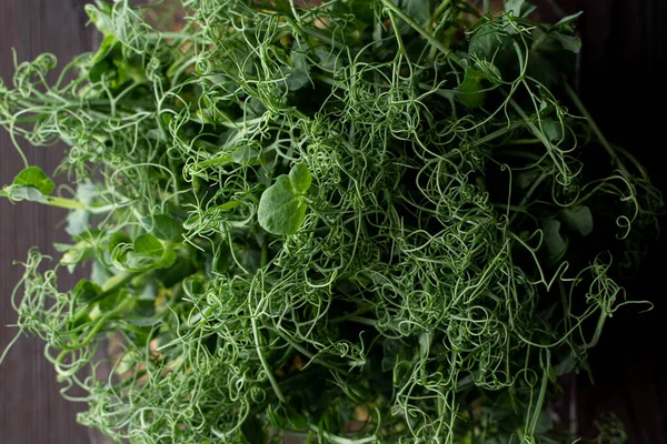 Bir kabın içindeki kıvırcık filizler yığını, koyu arkaplanda üst görünüm