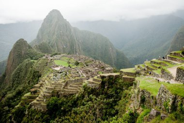 Machu Picchu 'nun sisli ve ön planda yaprakları olan yatay görüntüsü