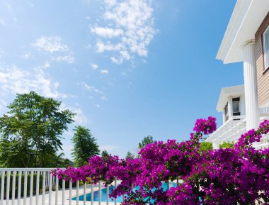 Yaz tatil Villa. Açık bir günde bahçedeki güzel çiçekli ağaç
