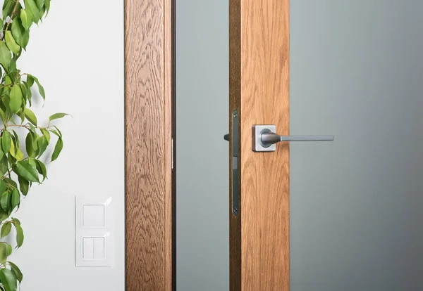 Close-up of ajar door. Steel door handle, dark textured wood. Element of modern interior