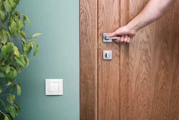 Kapıyı aç. Kapı kolu üzerinde ver. -Güzel bir daire iç unsurları kapatın. Yeşil duvardaki beyaz düğmeye. Houseplan