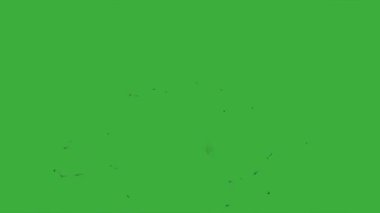  Animation video energy element effect with motion blur moving on green screen background
