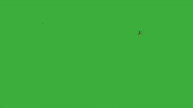  Animation video energy element effect with motion blur moving on green screen background
