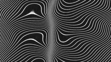 A loop animation wavy line background,black and white color with noise texture background