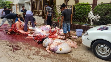 İnsanlar Eid Ul Azha, Karaçi, Pakistan, sokaklarda hayvan eti 22/08/2018