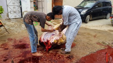 İnsanlar Eid Ul Azha, Karaçi, Pakistan, sokaklarda hayvan eti 22/08/2018