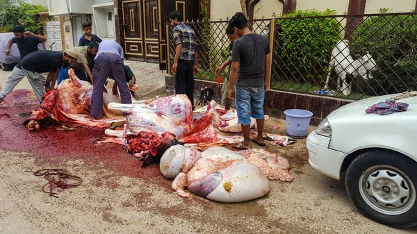 People Slaughtering Animals Eid Azha Streets Karachi Pakistan 2018 — стоковое фото