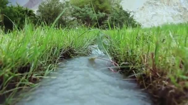 Parça Video Akan Yeşil Hunza Pakistan Vadisinde Arasında Acele Küçük — Stok video