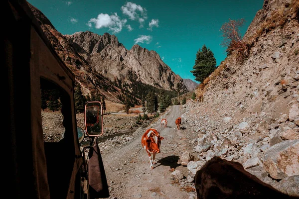 Hermosa vista de la montaña desde el jeep durante el viaje por carretera — Foto de Stock