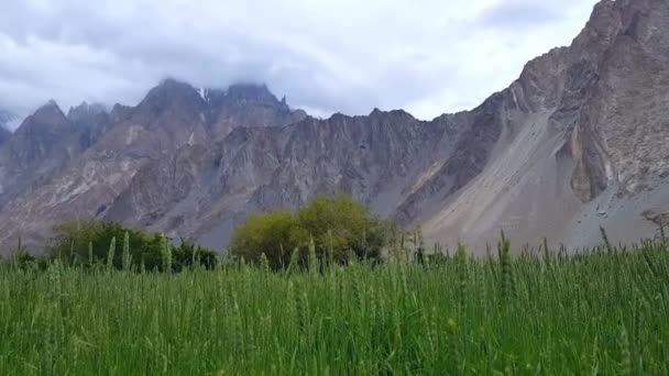 Beautiful Passu Cones Mountains Wheat Fields View Hunza Valley Pakistan — стокове відео