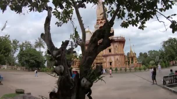 Świątynia Wat Chalong Dzielnicy Chalong Dystrykt Mueang Phuket Tajlandia 2019 — Wideo stockowe