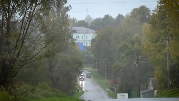 Perspektiv syn på vägen i skogen. — Stockvideo