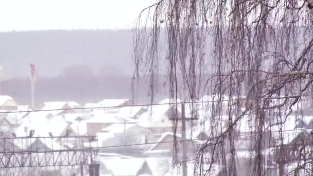 Linie energetyczne na tle kołyszących się gałęzi i domów zimą. Perspektywa. — Wideo stockowe