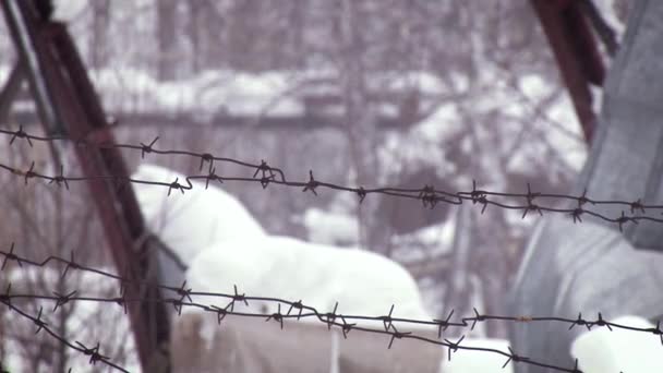 Taggtråd på bakgrunden av en vinter snöstorm och vinka grenar. Närbild på utsidan. — Stockvideo