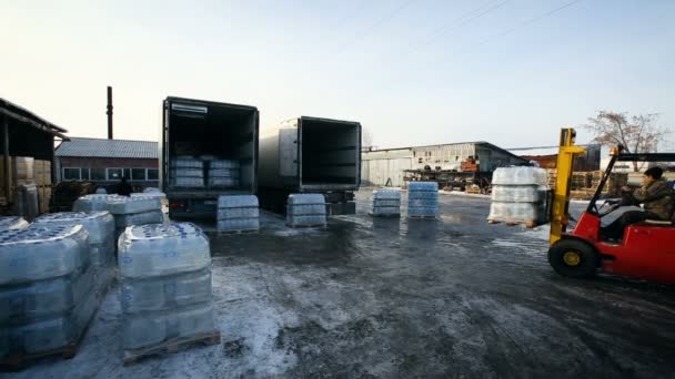 Laden Machines in uitvoering. Vrachtwagen wordt geladen. Fabriekstransits. Watervoorziening in flessen. — Stockvideo