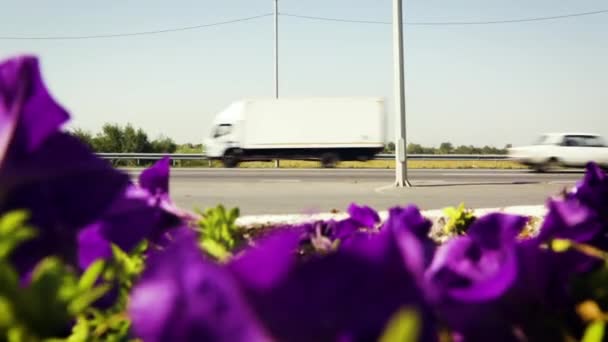 Vista ravvicinata dell'autostrada attraverso i fiori viola in un tempo soleggiato. — Video Stock