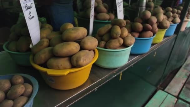 Vista de cerca de la exhibición de verduras en un espacio de mercado. — Vídeos de Stock