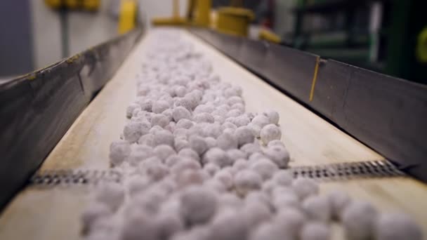 Primer plano de las bolas de arándanos azucareros que se ejecutan en el transportador. — Vídeos de Stock