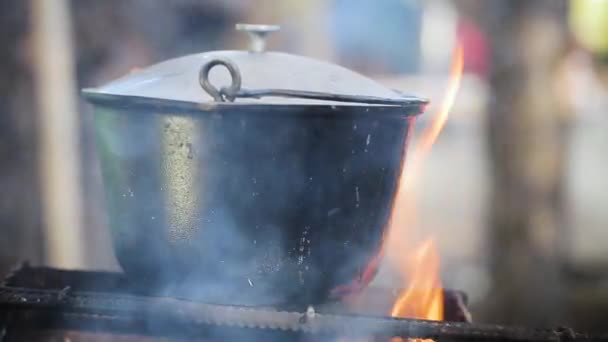Closeup view of an iron pot boiling on fire place in the woods. Camping cooking. — Stock Video