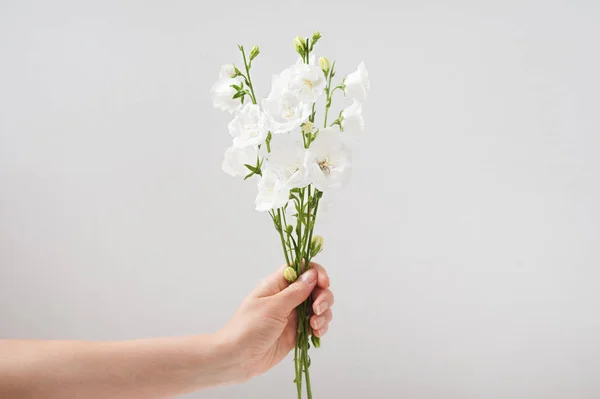 Kwiaty Prezent Piękne Białe Dzwony Kobiecych Rękach Wiosna Inspiracja — Zdjęcie stockowe
