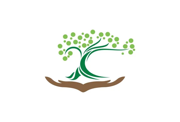 Догляд Руками Зберегти Навколишнє Середовище Зелене Дерево Абстрактний Символ — стоковий вектор
