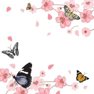 Kelebekler çiçek çiçek yaz bahar çerçeve arka plan