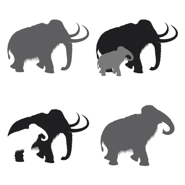 Semplice elefante casa cura Simbolo Icona Set — Vettoriale Stock