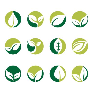 Daire yaprak yeşil yeşillik doğa Eco simgesi toplama