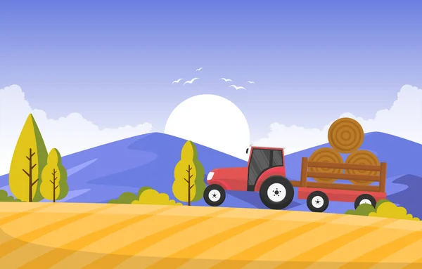 Zemědělství Pšeničné Pole Zemědělství Venkovské Příroda Scéna Krajina Ilustrace — Stockový vektor