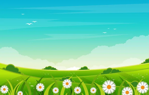 Summer Fresh Green Nature Field Land Sky Landscape Illustration — Stock Vector