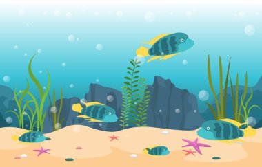 Güzel Akvaryum Balık Renkli Resif Su Bitkisi İllüstrasyonu