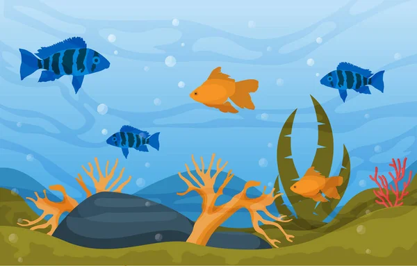 Piękne Akwarium Ryby Kolorowa Rafa Woda Ilustracja — Wektor stockowy