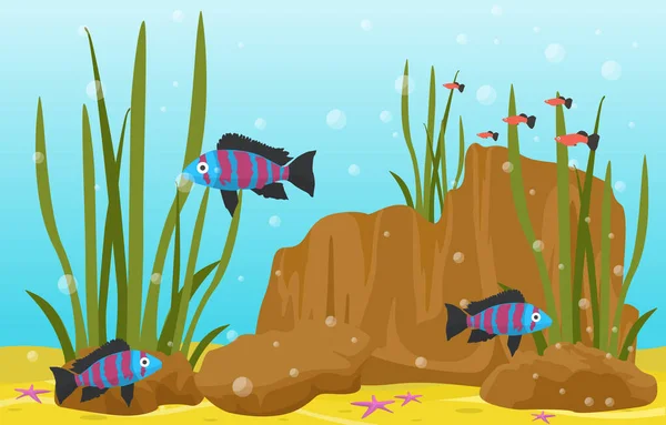 Piękne Akwarium Ryby Kolorowa Rafa Woda Ilustracja — Wektor stockowy