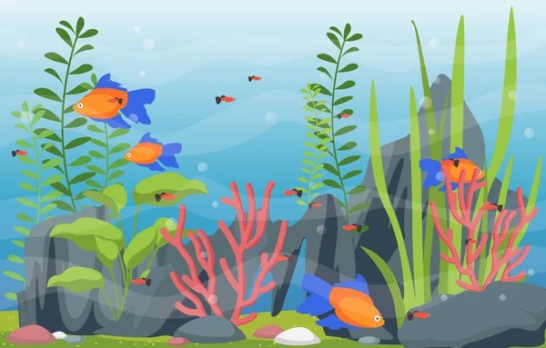 Hermoso Acuario Peces Colorido Arrecife Agua Planta Ilustración — Vector de stock