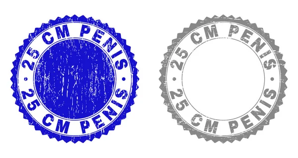 Textured 25 CM PENIS Grunge Stamp Seals with Ribbon — Stock Vector