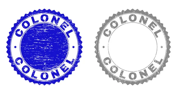 Selos de selos texturizados Grunge COLONEL — Vetor de Stock