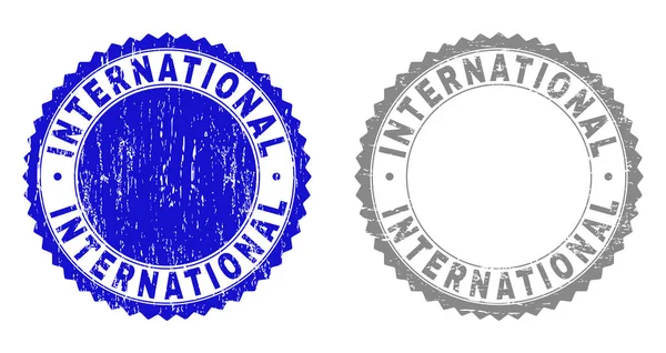 Grunge internationale bekrast stempel zeehonden — Stockvector