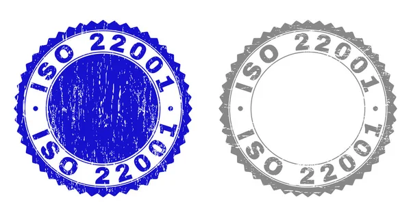 Grunge ISO 22001 Filigranes rayés — Image vectorielle