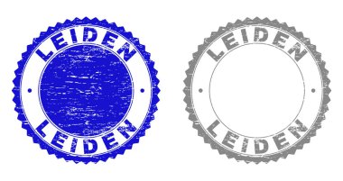 Grunge Leiden damga mühürler dokulu