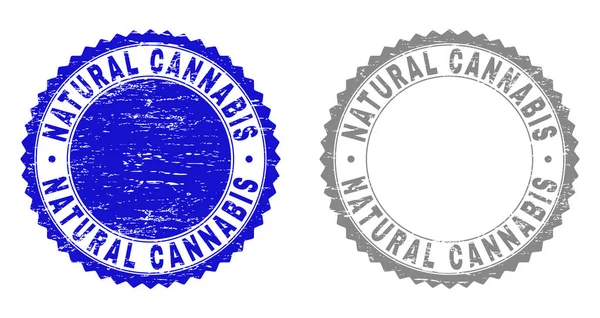 Grunge CANNABIS NATUREL Sceaux rayés — Image vectorielle