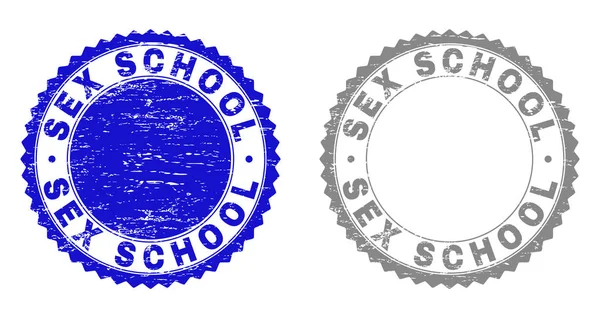 Grunge Sex School getextureerde stempel zeehonden — Stockvector