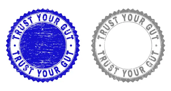 Grunge Trust Your GUT Textured Stamp Seals — стоковый вектор