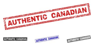 Grunge otantik Kanada dikdörtgen filigranlar dokulu