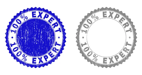 Texturizado 100 Percentagens EXPERT Selos riscados — Vetor de Stock